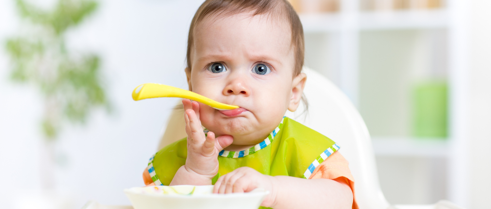 The Ultimate Guide to Baby Plates and Bowls: Making Mealtime Fun and Safe