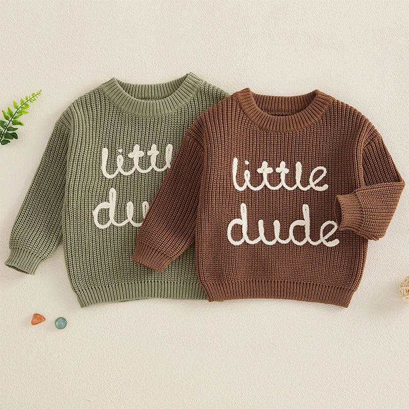 Baby Boys Casual Letter Embroidery Sweater – Long Sleeve Pullover with Crew Neck