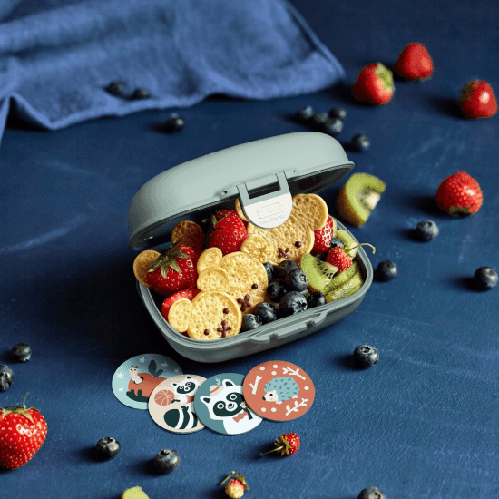 Monbento Gram Snack Box-Green Raccoon Green Raccoon-1973194135338881031